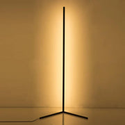 Modern LED Floor Lamp with Remote Control
