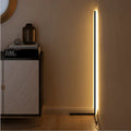 Modern LED Floor Lamp with Remote Control
