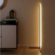 Modern LED Floor Lamp with Remote Control